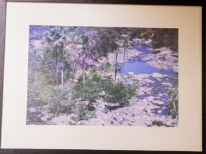 VISTA DO CERRADO-MARIA DE FÁTIMA