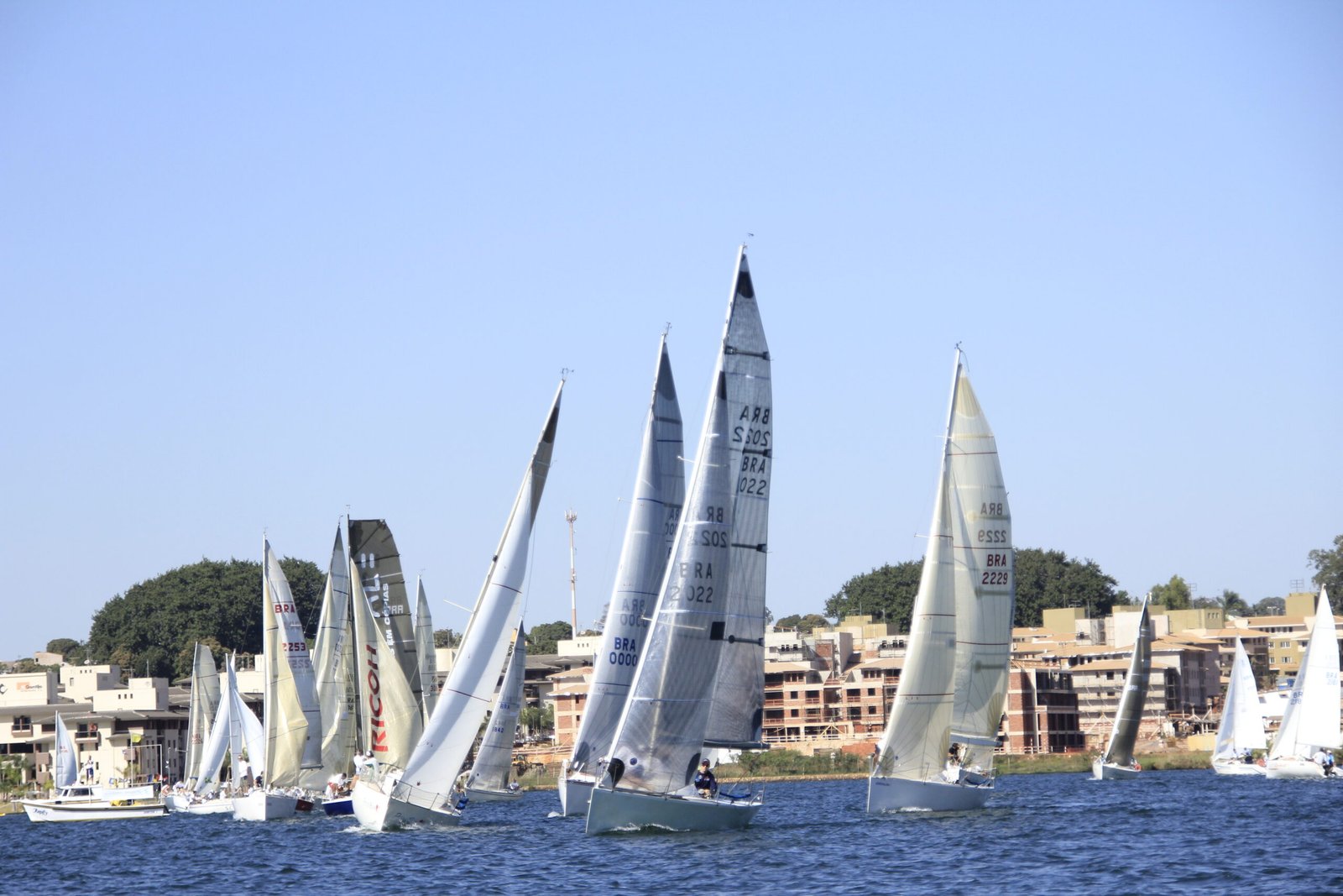 Regata Comodoro 2012 (7)